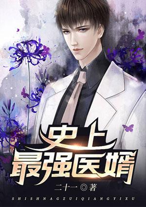 史上最強醫婿封面