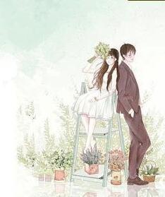 郁少的首席萌妻封面