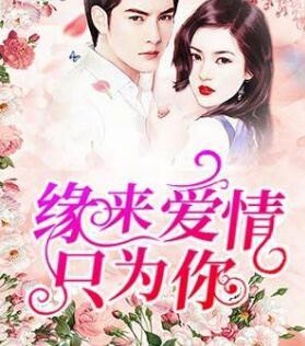 情深萬里只寵你夏夕綰陸寒霆免費閱讀全文21章封面