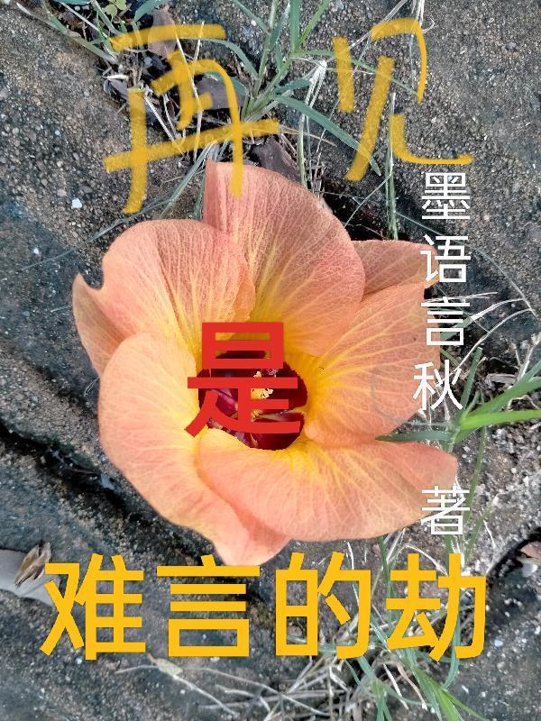 再見是難言的劫封面