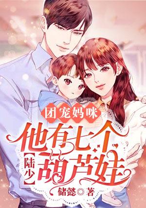 陸夜寒顧婉封面