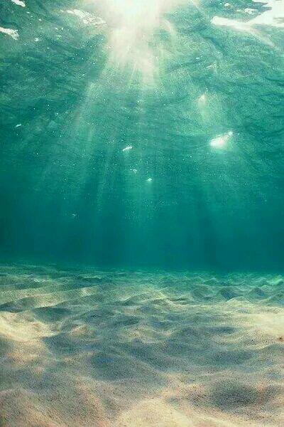 陸先生你的九個兒子震驚全球封面