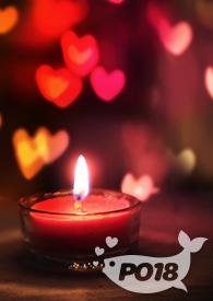 掌上明珠（偽父女）封面