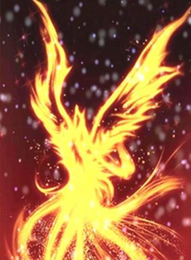 沈青檀和趙頤的小說叫什么封面