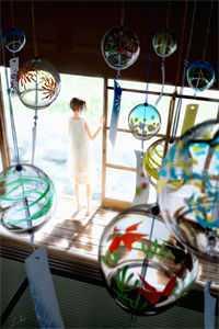 鳳傾九重素婉免費閱讀封面