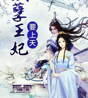 權寵王妃不消停封面