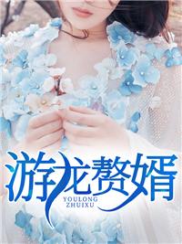 游龍贅婿封面