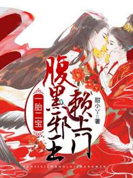 一胎二寶，腹黑邪王賴上門封面